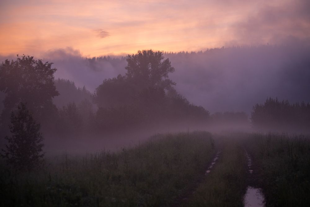 Photograph by Галина Молчанова