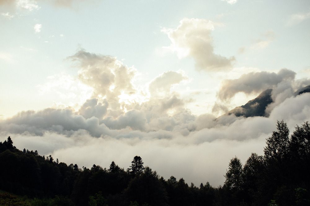 Photograph by Маргарита Поганова