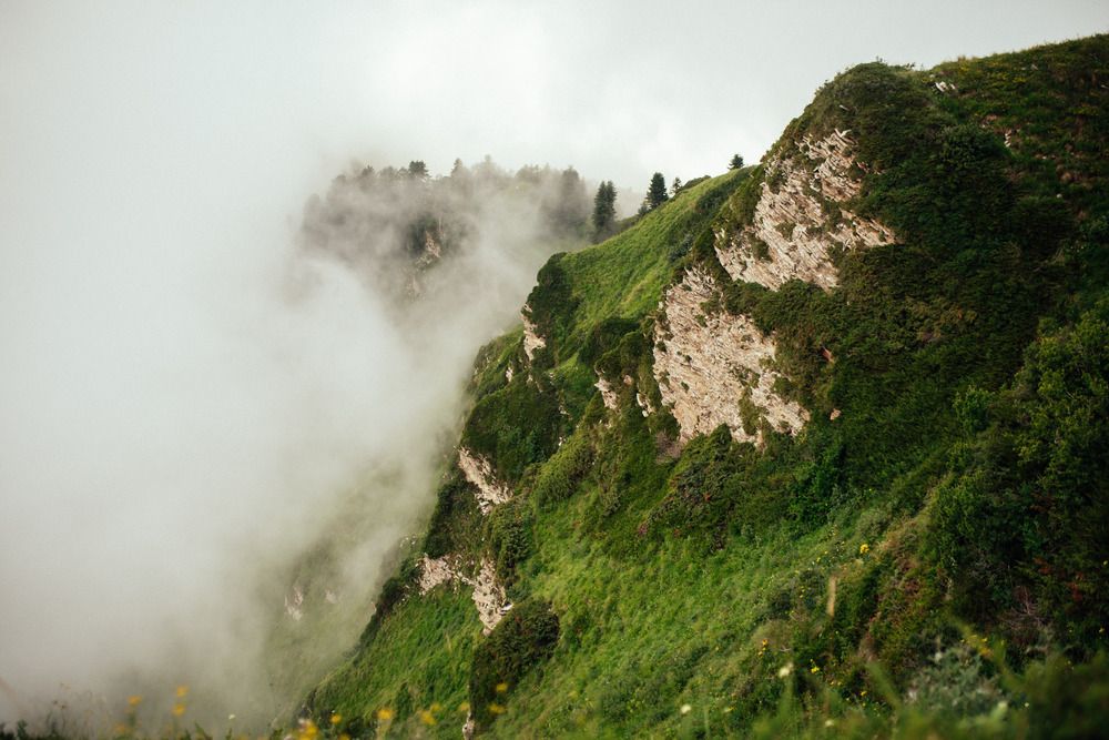 Photograph by Маргарита Поганова