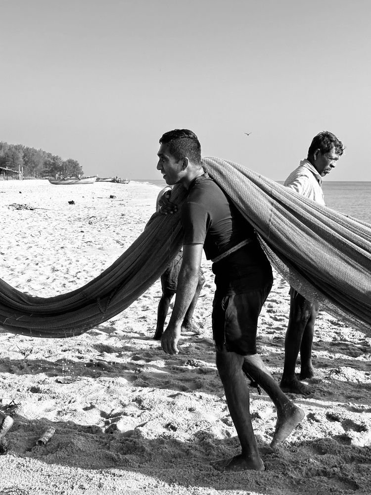 Фотография автора Sabeelan Thayanantharasa