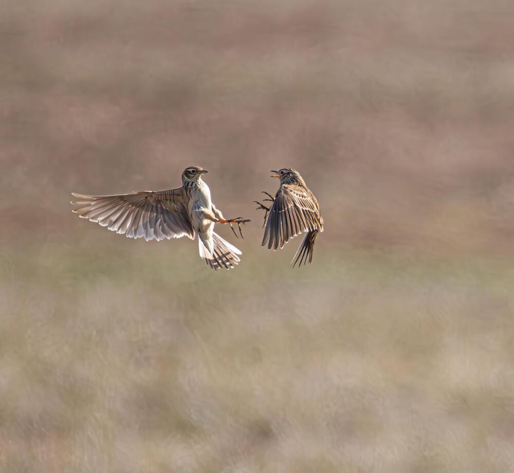 Photograph by Александр Белов