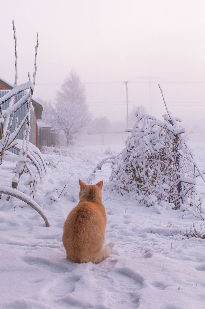 Photograph by Людмила Прибылова