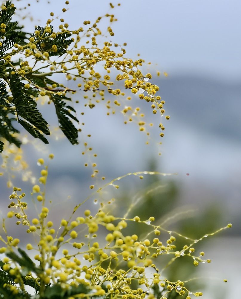 Photograph by Татьяна Михайловна