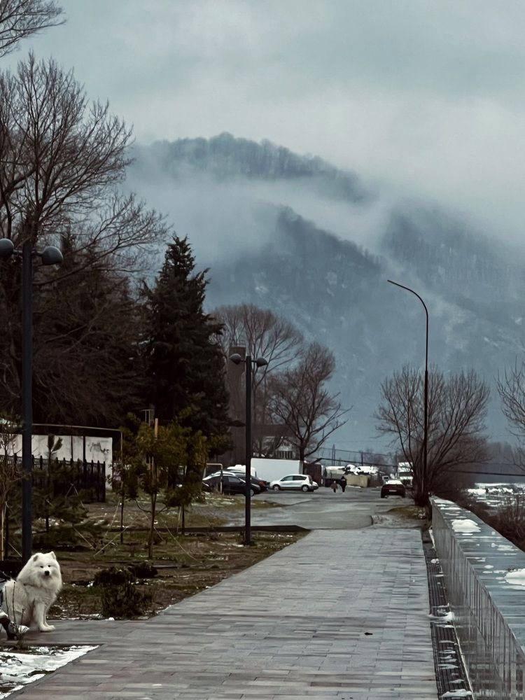 Photograph by Татьяна Михайловна