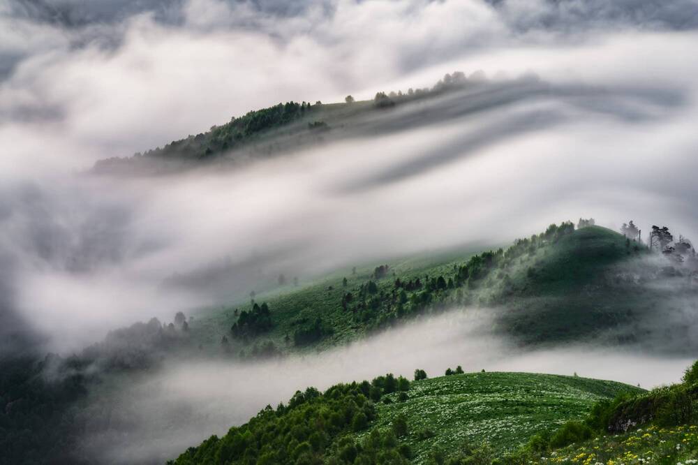 Фотография автора Василий Яковлев