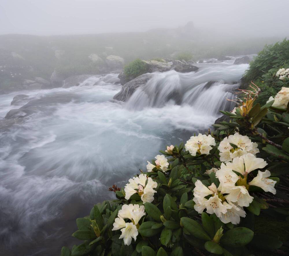 Фотография автора Василий Яковлев
