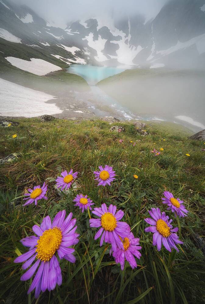 Photograph by Василий Яковлев