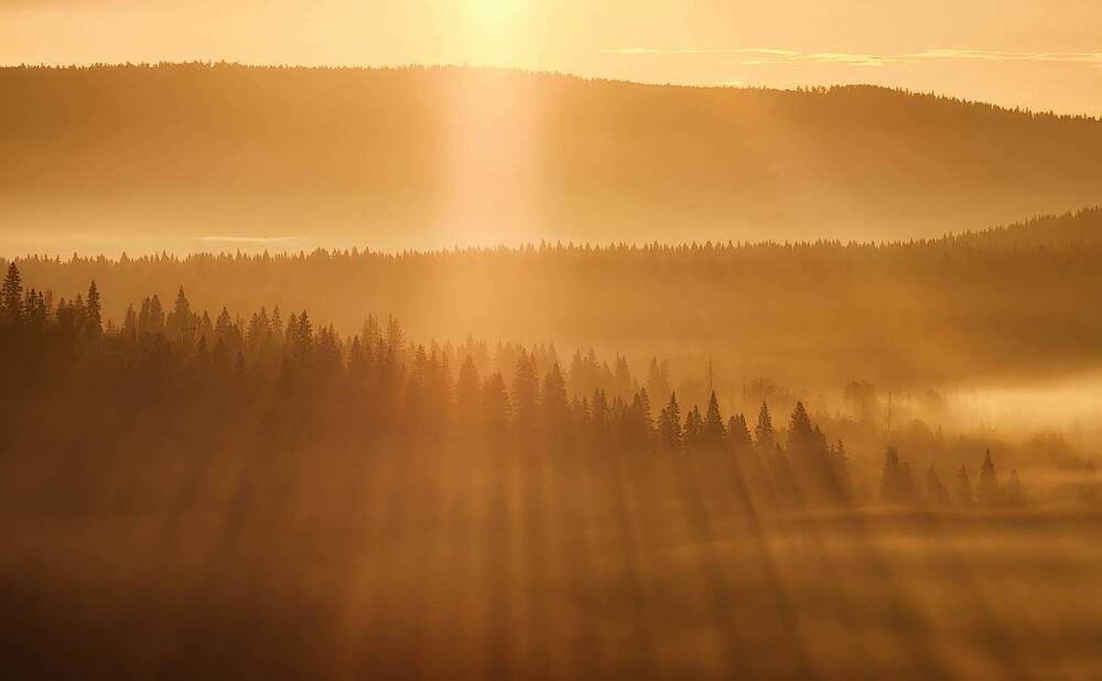 Photograph by Василий Яковлев