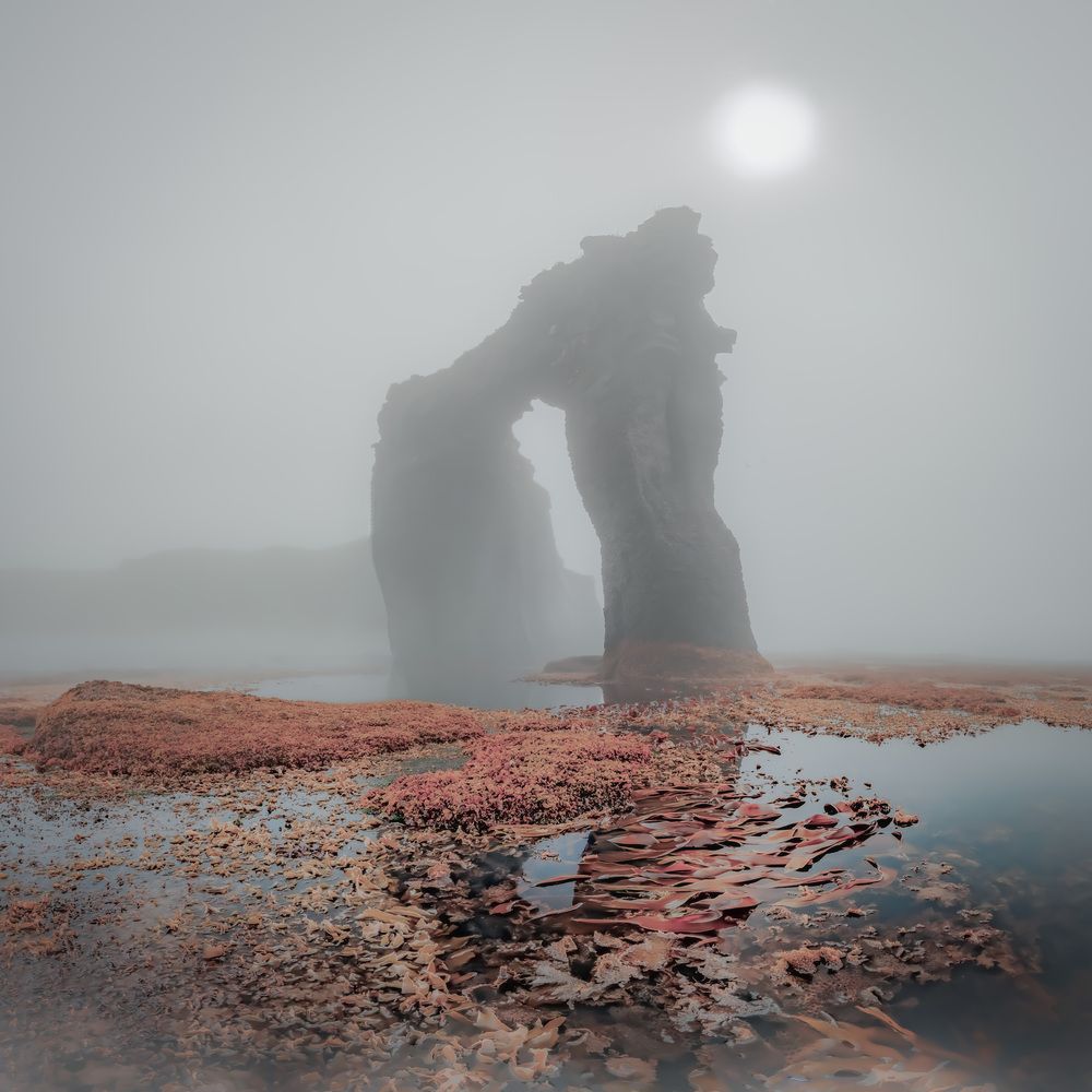 Фотография автора Лаврентьев Александр