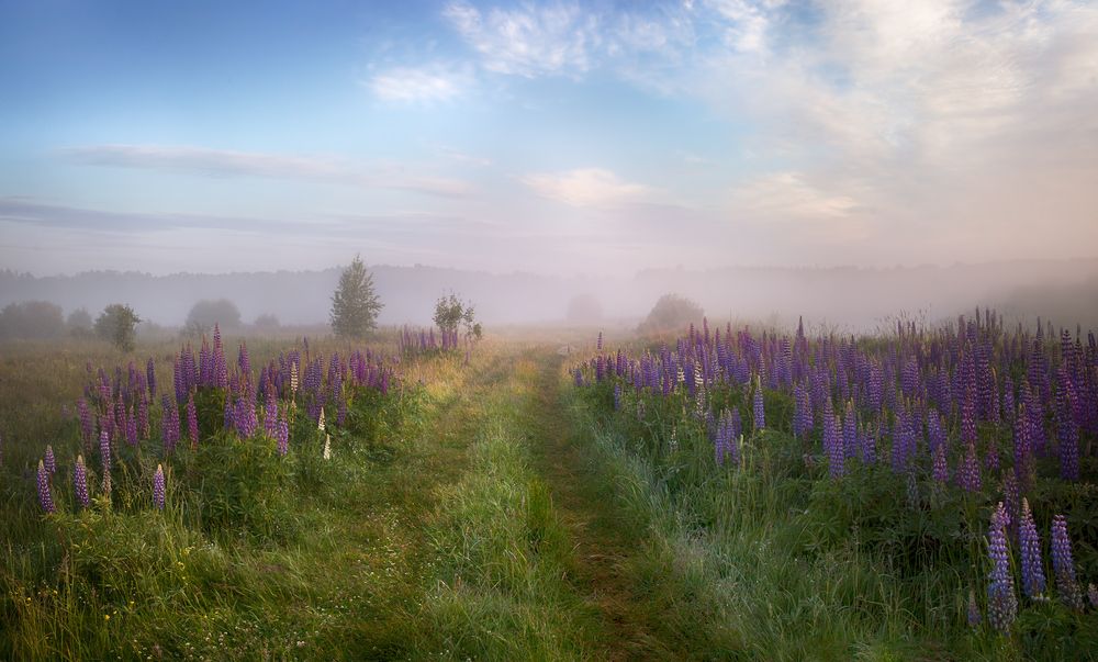 Photograph by Ирина Заколдаева