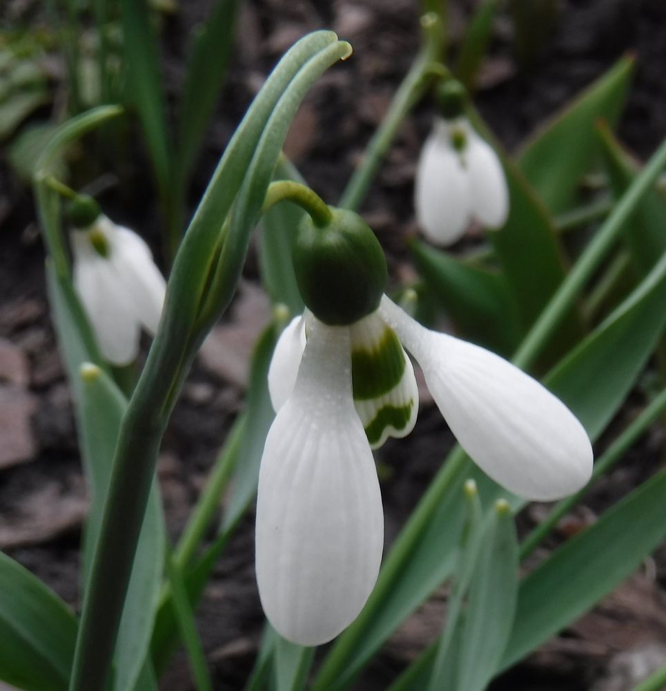 Photograph by Елена Сухорученкова