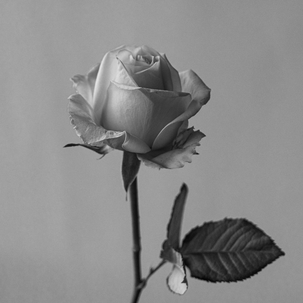 Photograph by Artur Aghababyan