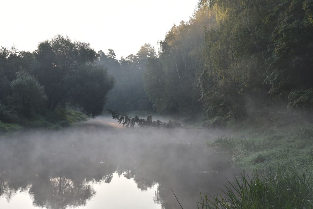 Photograph by Ольга Струкалина