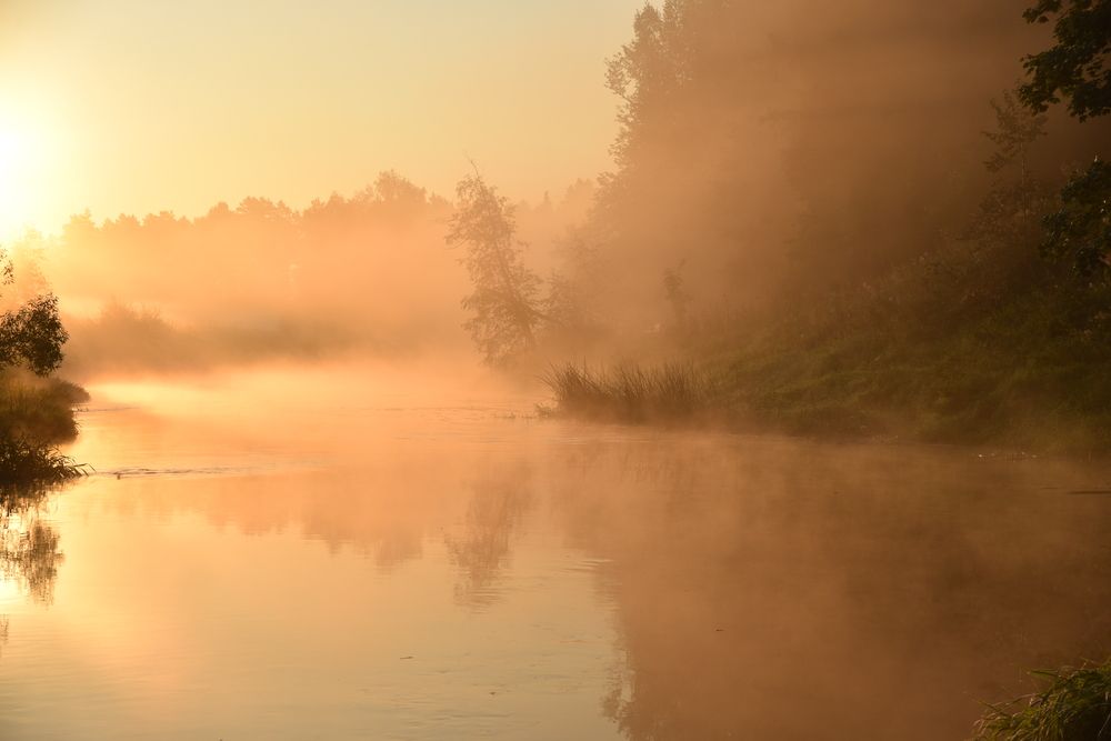 Photograph by Ольга Струкалина