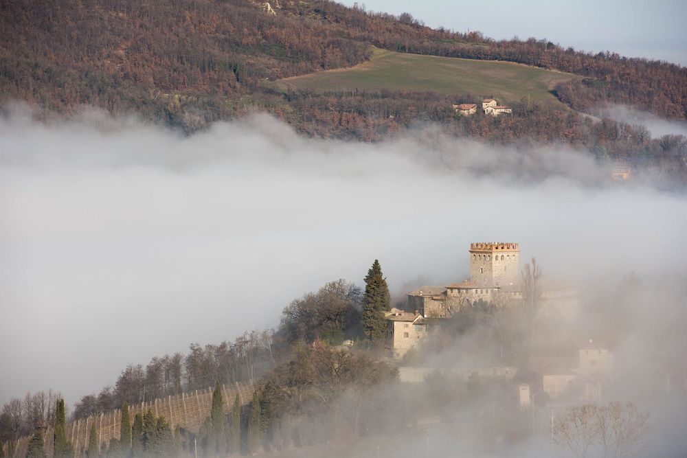 Фотография автора Liliana C.