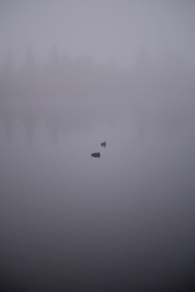 Photograph by Madalin Vlad