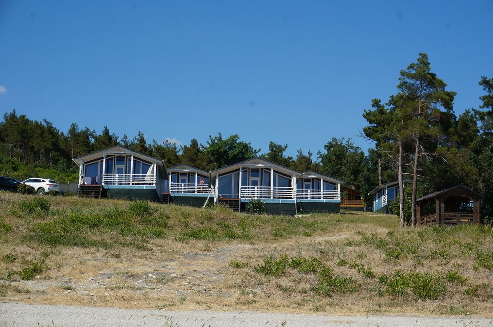 Photograph by Владимир Николенко