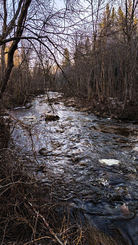 Photograph by Aleksandr Kapustin