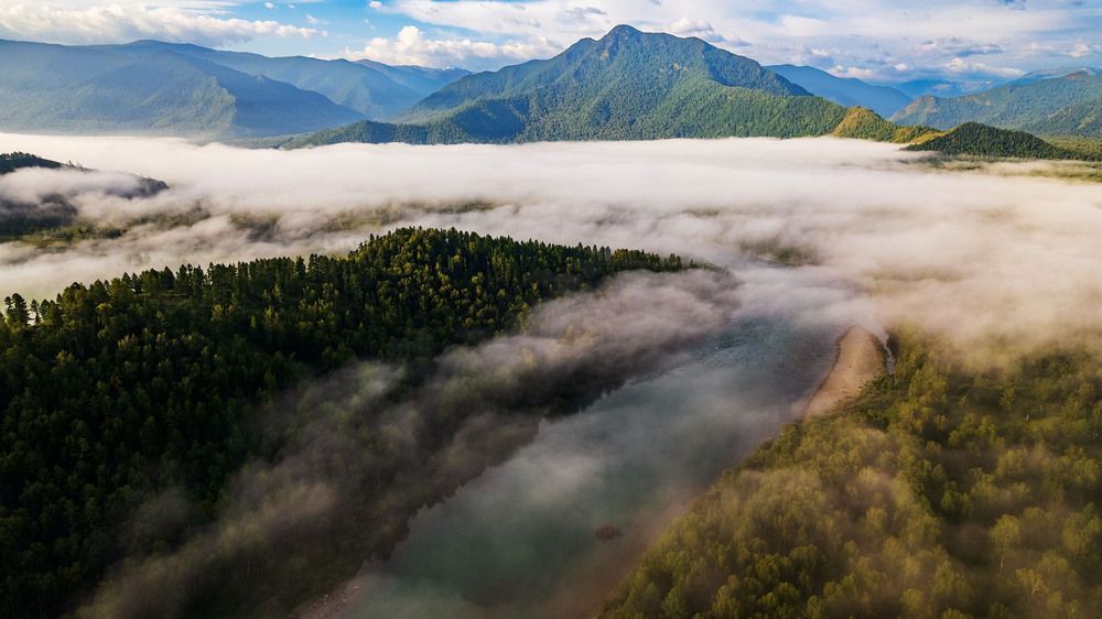 Фотография автора Totoro