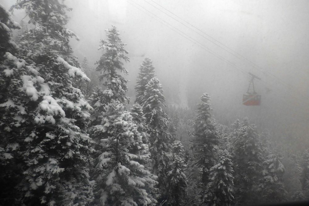 Photograph by Лада Денисова