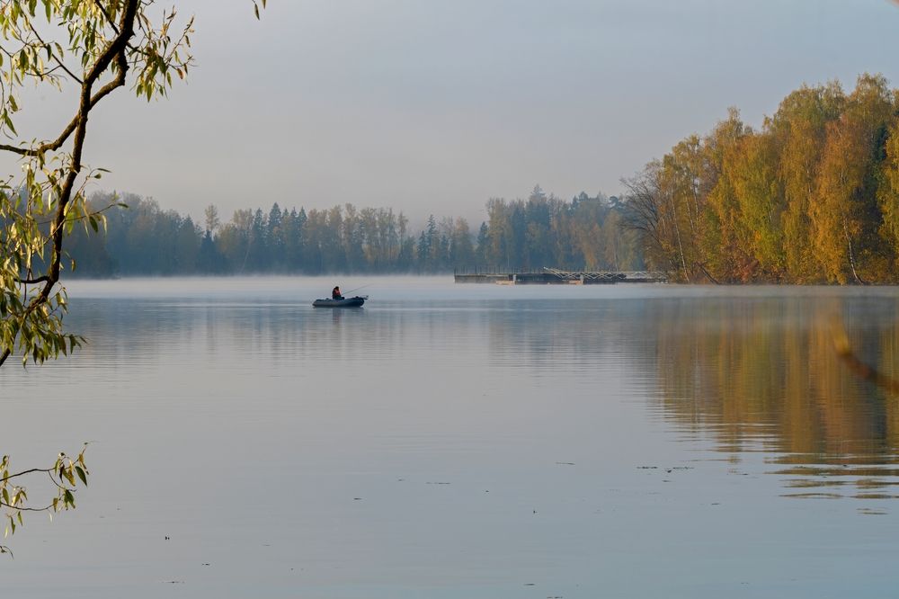 Photograph by Михаил Косолапов