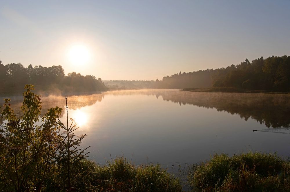 Photograph by Михаил Косолапов