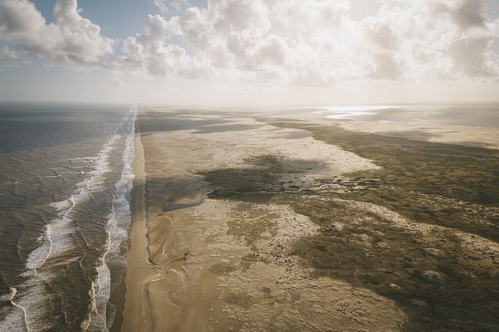 Photograph by Henrique Presse