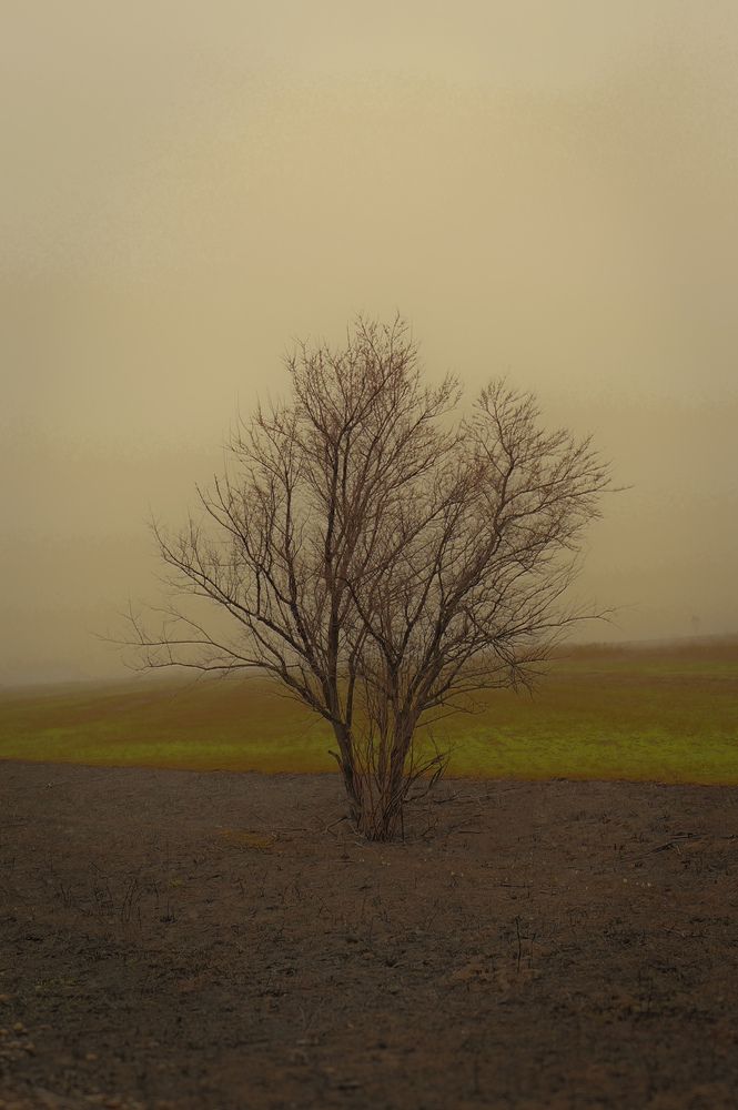 Photograph by Татьяна Лазарева