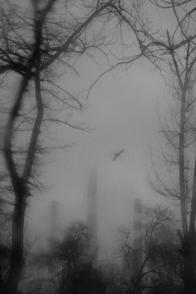 Photograph by Татьяна Лазарева