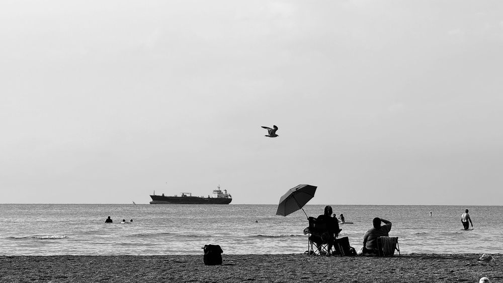 Фотография автора Francisco Ethige Silva