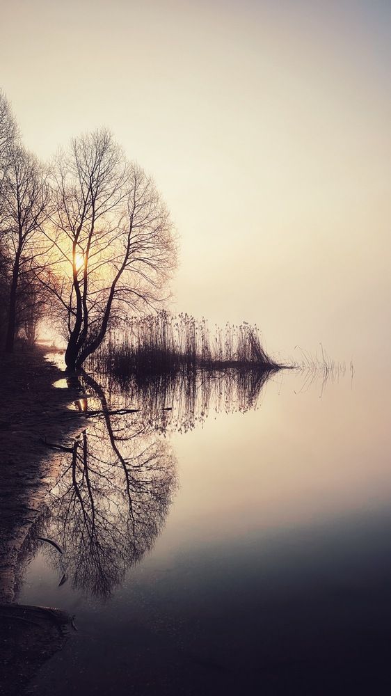 Photograph by Светлана