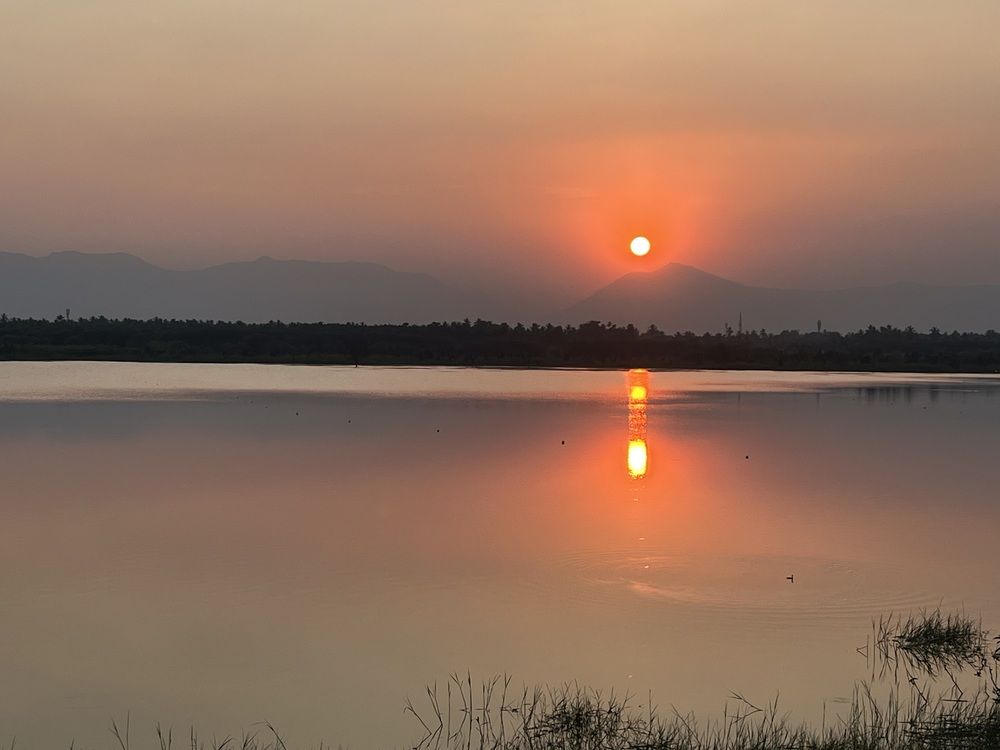 Photograph by Prabhu Viswanathan