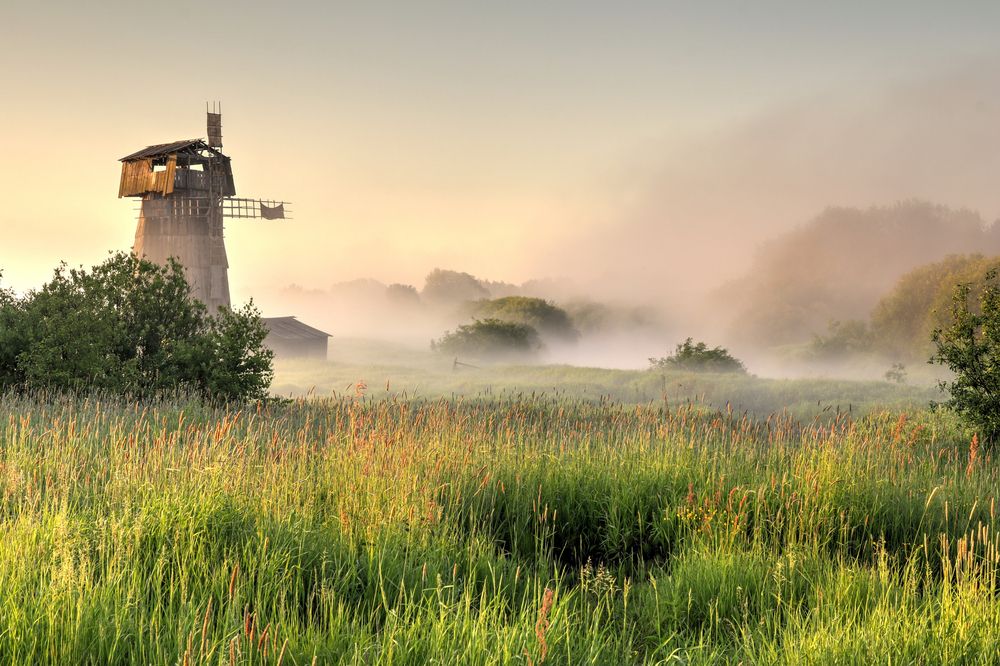 Photograph by Добролюбова Тамара