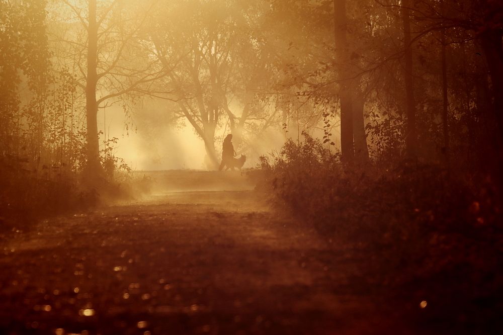 Photograph by Yana Egorova