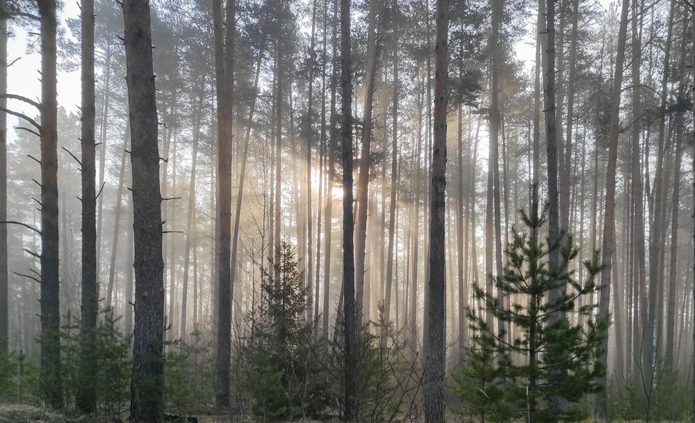 Photograph by Татьяна Романова