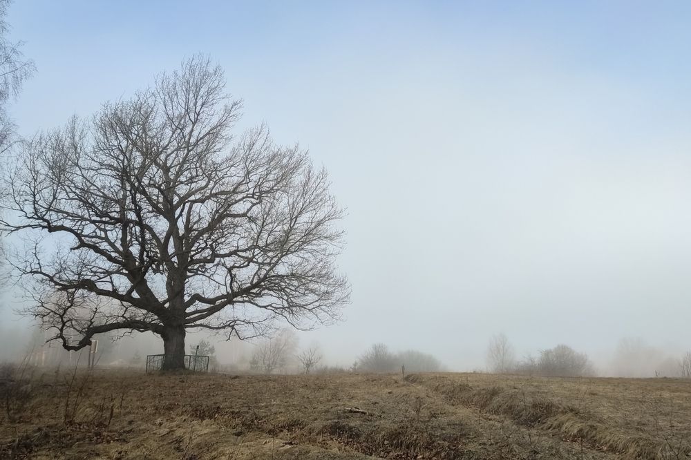 Photograph by Татьяна Романова