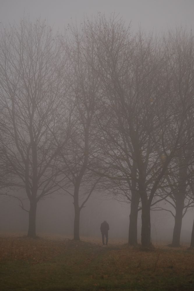 Фотография автора Александр Высоцкий