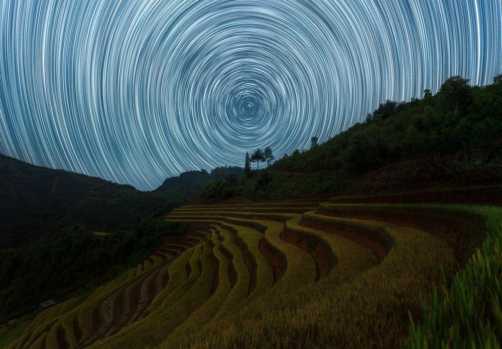 Фотография автора Tran Linh