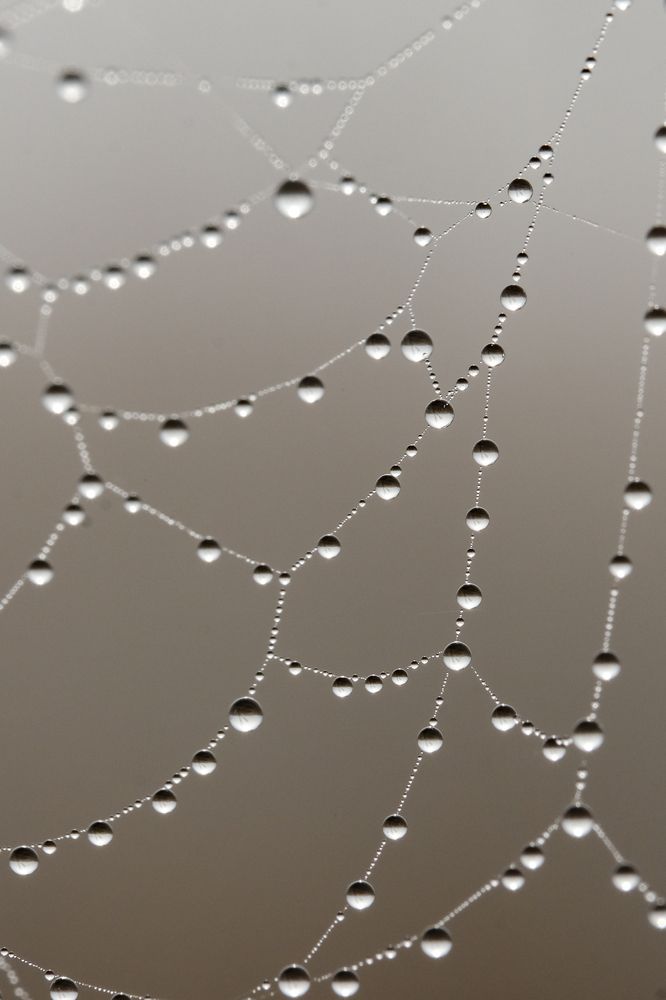 Фотография автора Александр Высоцкий