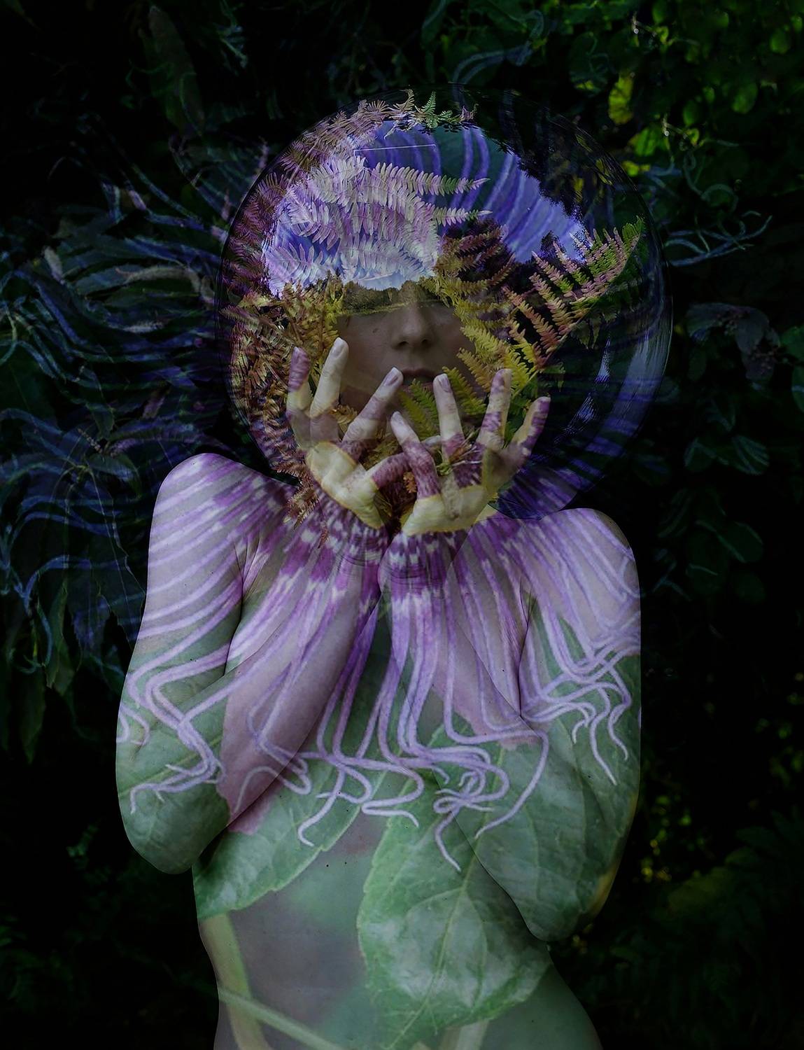 Фотография #12105515