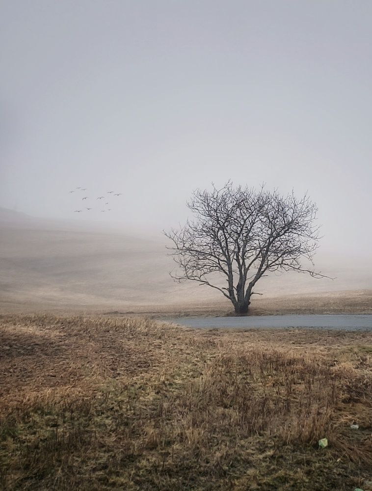 Фотография автора Alina Filimonova