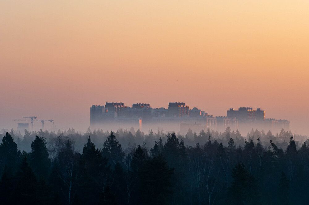 Фотография автора 