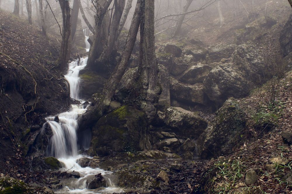 Photograph by Сергей Яблоков