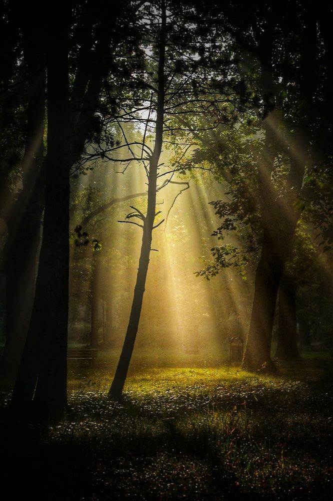 Photograph by Stella Szpinek