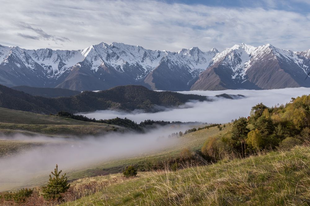 Photograph by Юлия Яковлева