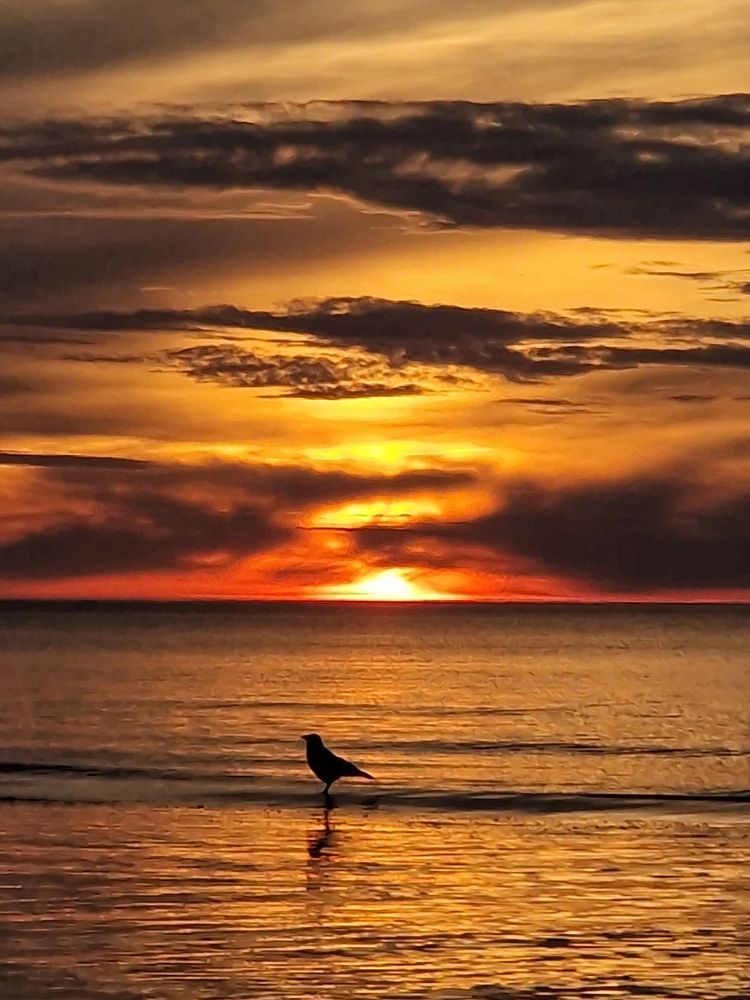 Photograph by Инна Савичева