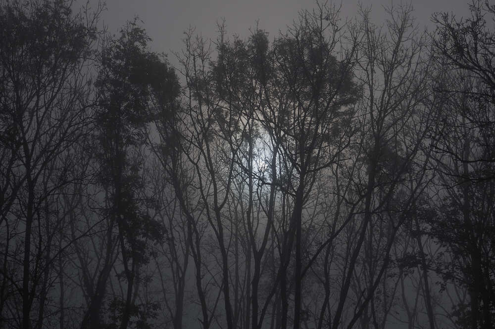 Фотография автора Ekaterina Palant