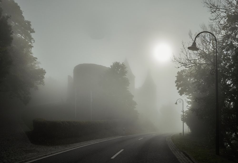 Фотография автора Ekaterina Palant