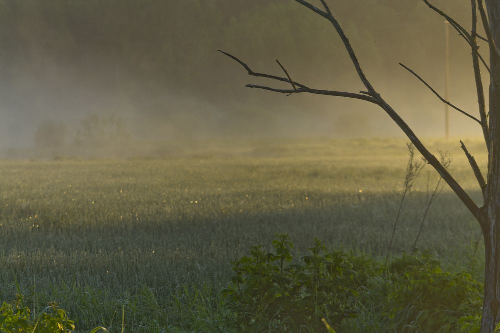 Солнце встает.