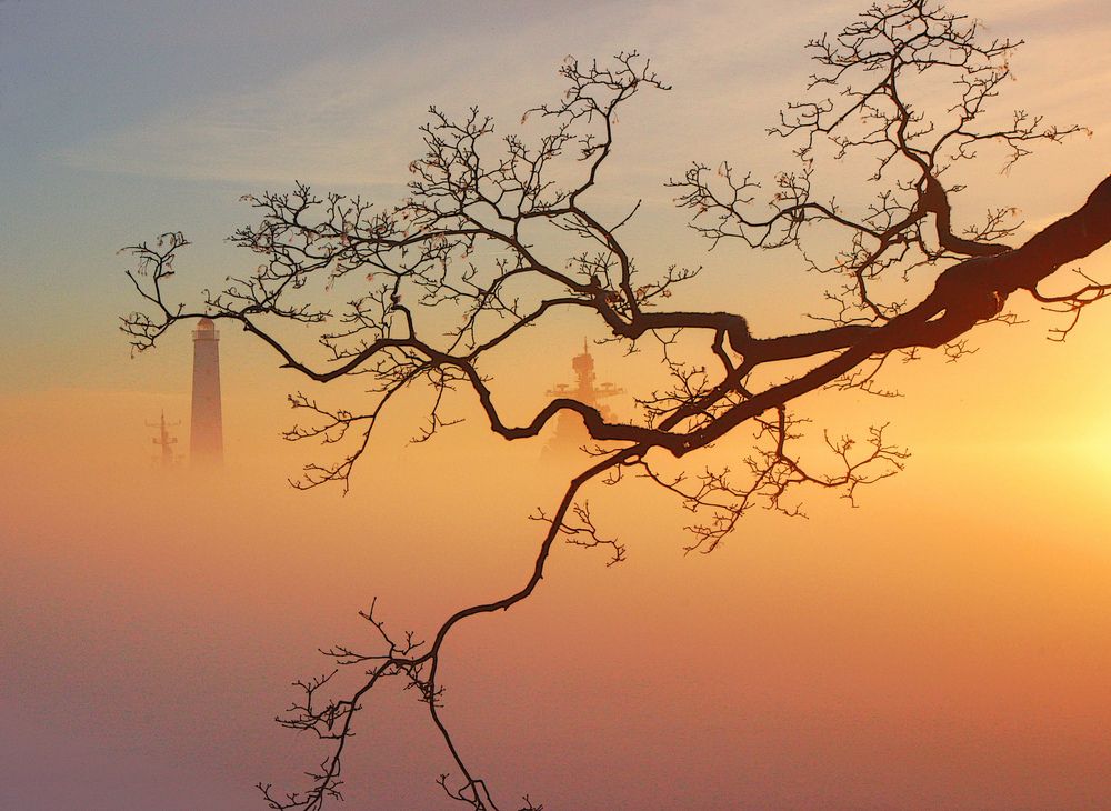 Photograph by Сергей Григорьев